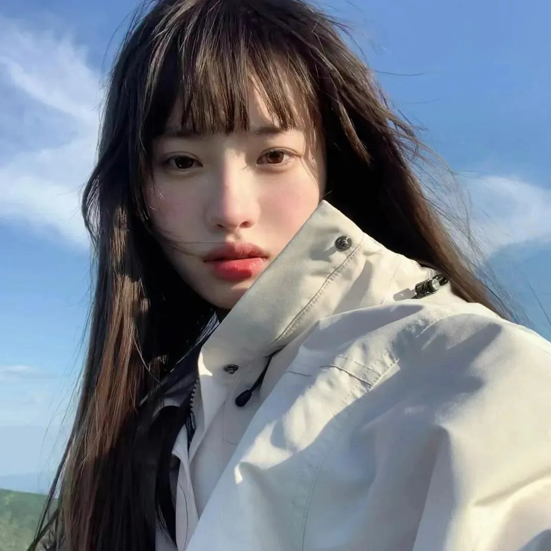 暴风雪中的白鸟